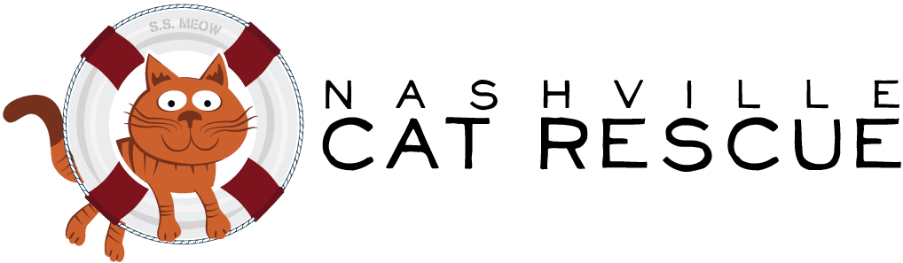 nashville cat rescue donate